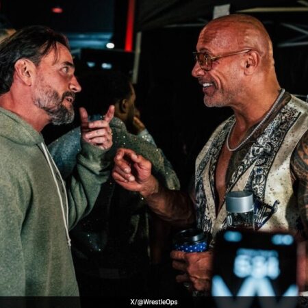 WWE Drops The Rock And CM Punks Never-Seen-Before Voicemail Segment After Viral Backstage Gem: What's Cooking Netflix?